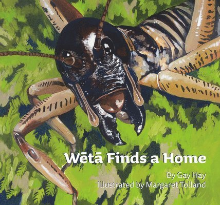 Weta Finds a Home 1