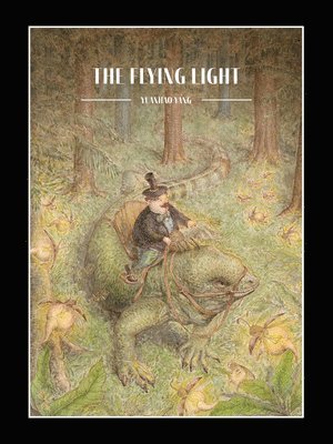 bokomslag Flying Light