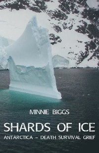 bokomslag Shards of Ice