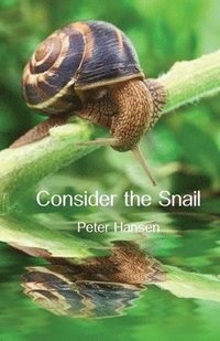 bokomslag Consider the Snail