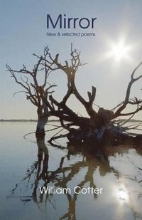 bokomslag Mirror