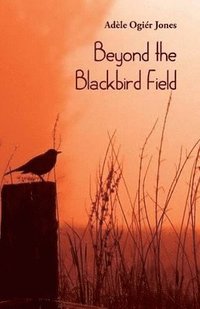 bokomslag Beyond the Blackbird Field