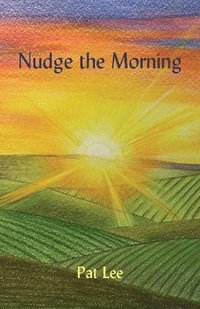 bokomslag Nudge the Morning