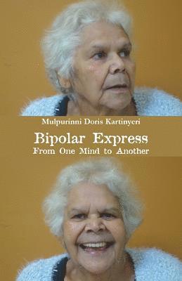 bokomslag Bipolar Express