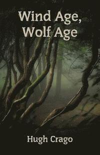 bokomslag Wind Age, Wolf Age