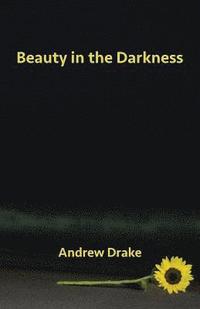 bokomslag Beauty in the Darkness