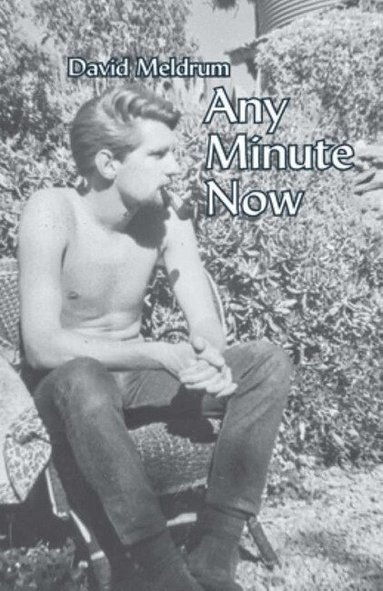 David Meldrum - Any Minute Now, Häftad