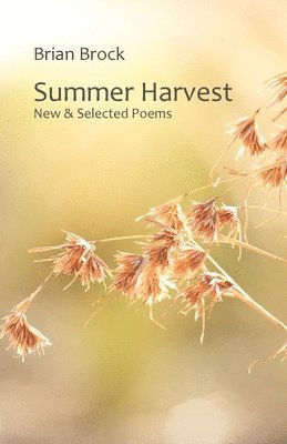 Summer Harvest 1