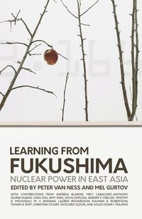 bokomslag Learning from Fukushima: Nuclear power in East Asia
