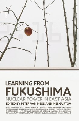 Peter Van Ness, Mel Gurtov - Learning from Fukushima: Nuclear power in East Asia, Häftad
