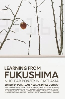 bokomslag Learning from Fukushima: Nuclear power in East Asia