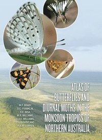 bokomslag Atlas of Butterflies and Diurnal Moths in the Monsoon Tropics of Northern Australia