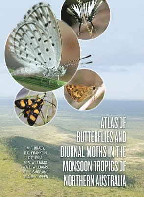 bokomslag Atlas of Butterflies and Diurnal Moths in the Monsoon Tropics of Northern Australia