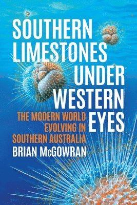 Southern Limestones under Western Eyes 1