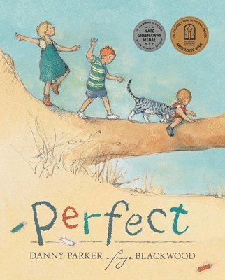 bokomslag Perfect
