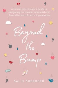 bokomslag Beyond the Bump