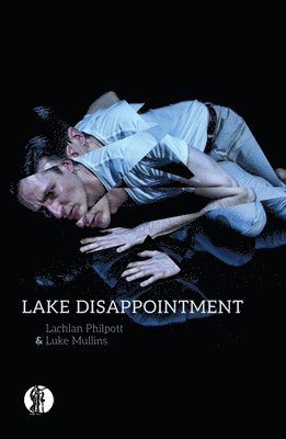 Lake Disappointment 1