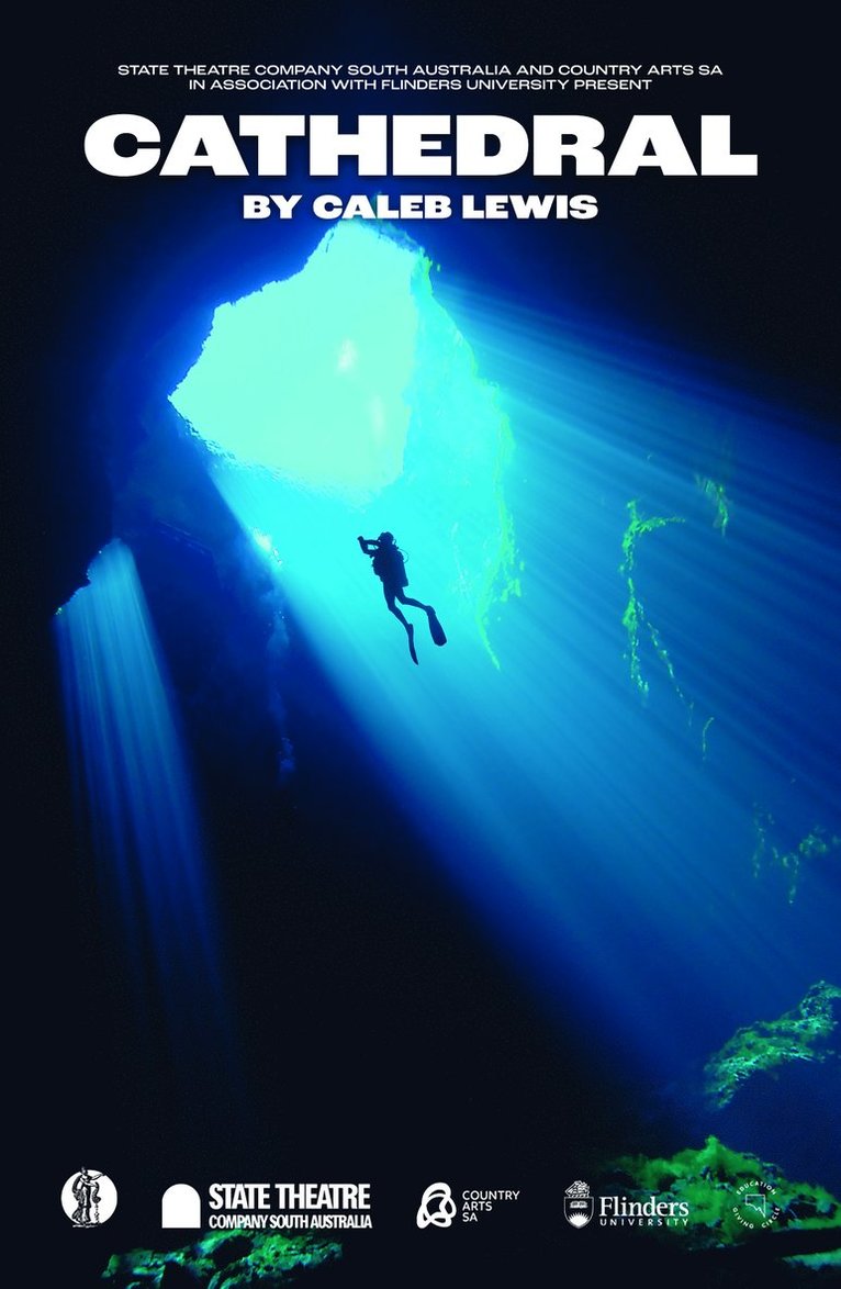 Caleb Lewis - Cathedral, Häftad