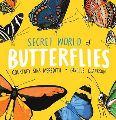 bokomslag Secret World of Butterflies