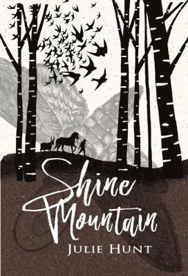 bokomslag Shine Mountain