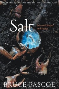 bokomslag Salt: Selected Stories and Essays