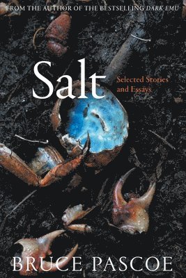 Salt: Selected Stories and Essays 1