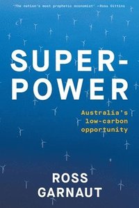 bokomslag Superpower