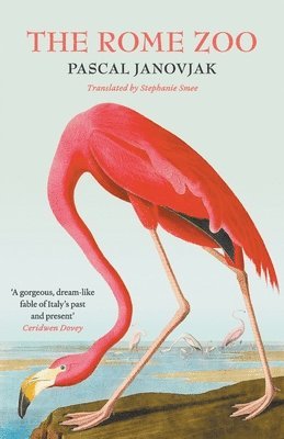 Pascal Janovjak - Rome Zoo, Häftad. Tillgänglighet: Lägg i varukorg