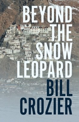 bokomslag Beyond the Snow Leopard: Travels Through the Himalayas, Buddhism, Mountaineering and Possible Paths to Enlightenment