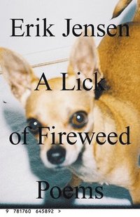 bokomslag lick of fireweed