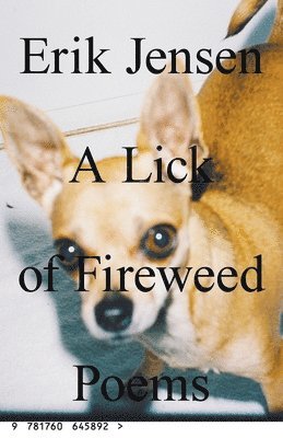 bokomslag lick of fireweed