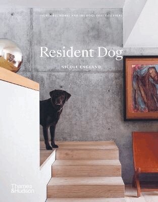 Nicole England - Resident Dog, Inbunden
