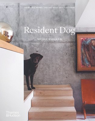 bokomslag Resident Dog (Compact): Incredible Homes and the Dogs That Live There
