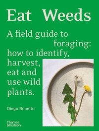 bokomslag Eat Weeds: A field guide to foraging: how to identify, harvest, eat and use wild plants