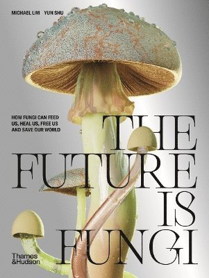 The Future is Fungi 1