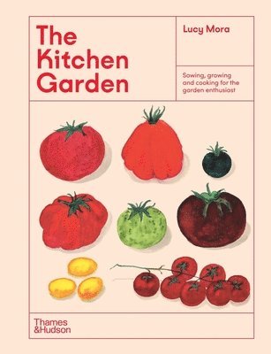 bokomslag The Kitchen Garden: Sowing, Growing and Cooking for the Garden Enthusiast