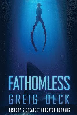 bokomslag Fathomless: A Cate Granger Novel 1