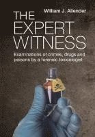 bokomslag The Expert Witness