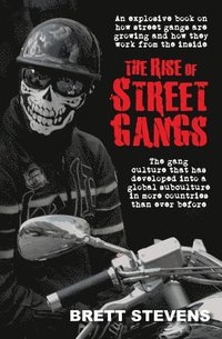 bokomslag Rise of Street Gangs