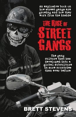 bokomslag Rise of Street Gangs