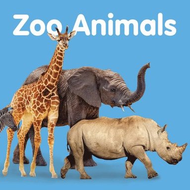 bokomslag Zoo Animals