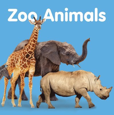 Zoo Animals 1