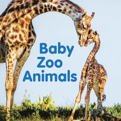 Baby Zoo Animals 1