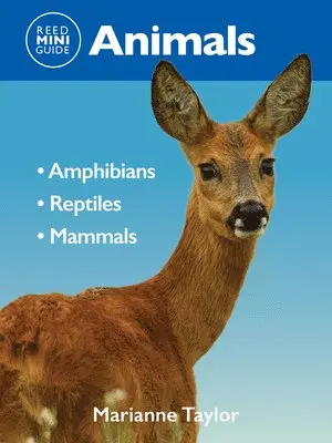 Marianne Taylor - Reed Mini Guide: Animals, Häftad