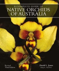 bokomslag A Complete Gde to Native Orchids of Australia