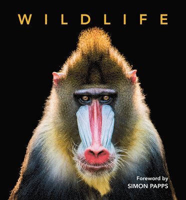 Foreword by Simon Papps - Deluxe Wildlife, Inbunden