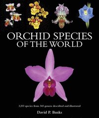 bokomslag Orchid Species of the World: 3,333 Species from 343 Genera Described and Illustrated