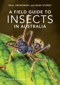 bokomslag A Field Guide to Insects of Australia