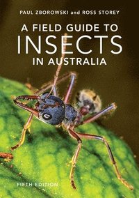 bokomslag Field Guide to Insects of Australia