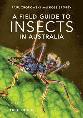 bokomslag A Field Guide to Insects of Australia